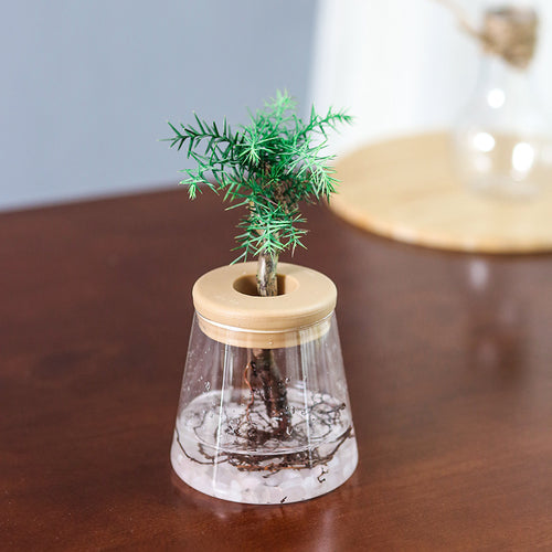 Aquabloom - Vaso autorrigante trasparente