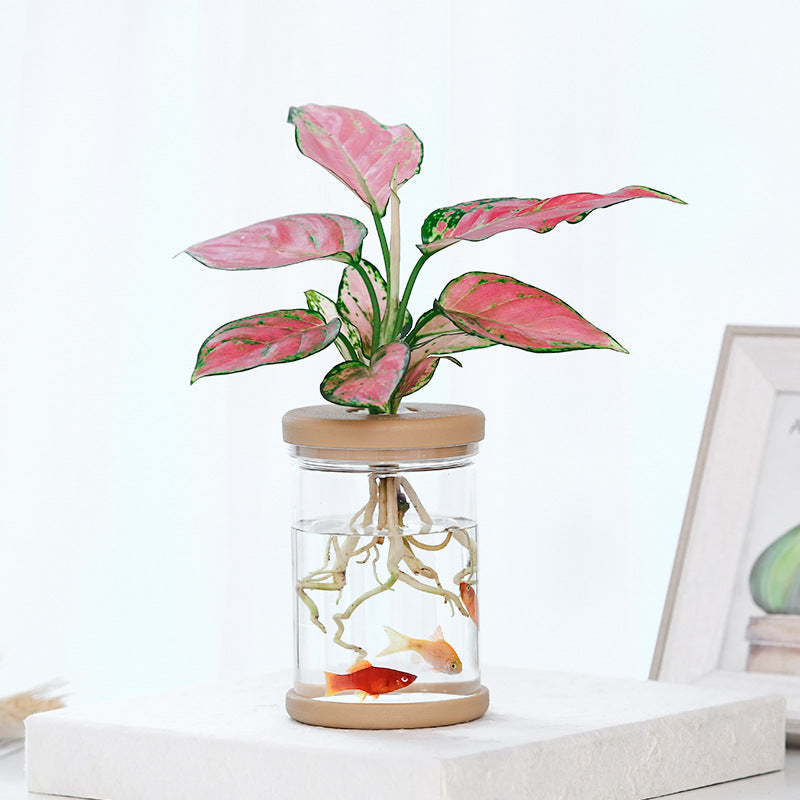 Aquabloom - Vaso autorrigante trasparente