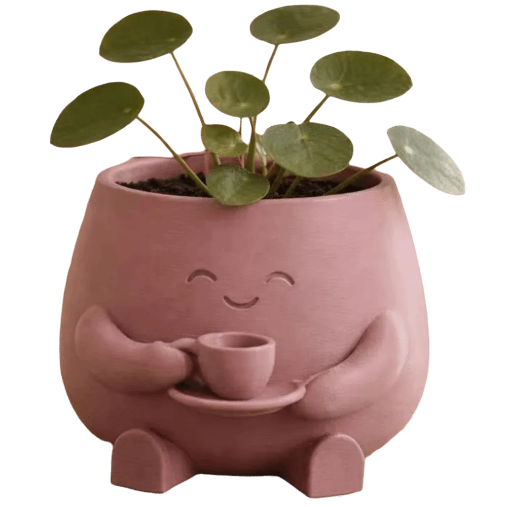 Novelty Mini Size Plant Pot 3D Printed Stylish Design Flowerpot Ornaments Holder Head Planter Garden Display