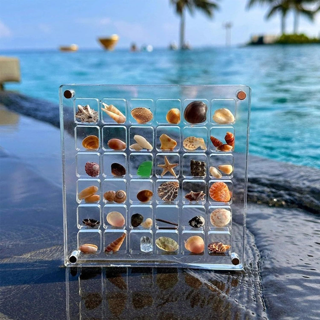Organizer Magnetico Trasparente